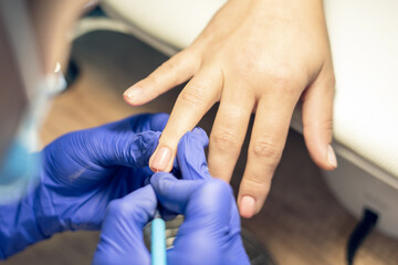 Fototapeta premium Manicurist doing a manicure in a nail salon, applying varnish on nails