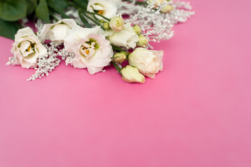 White eustoma flowers for romantic pink love background. Soft selective focus. Copy space.