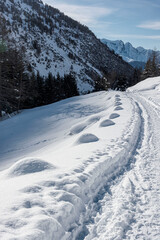 Paesaggio invernale innevato in alta Vallecamonica
