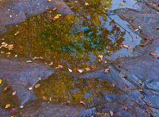 Gorbeia Natural Park, Altube, Alava, Basque Country, Spain