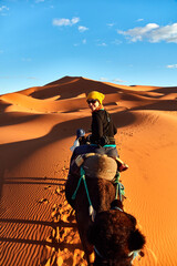 A young women in a yellow cap rides a camel led by a Berber through the dunes in the Sahara Desert, Merzouga, Morocco - obrazy, fototapety, plakaty