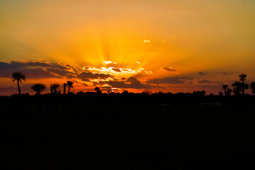 Golden Sunset in Florida