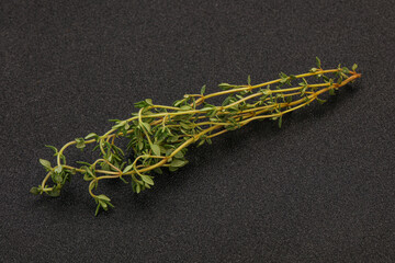 Aroma Fresh green thyme branch