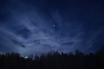 star filled sky over dark forest
