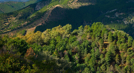 Parque Natural Sierra de Cardeña y Montoro,Cordoba, Andalucía, España