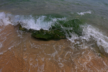 Green algae covered rocks, Yalong Bay, Sanya City, South China