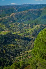 Fototapeta premium Parque Natural Sierra de Cardeña y Montoro,Cordoba, Andalucía, España