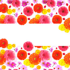 Frame made of gerbera flowers, place for text.