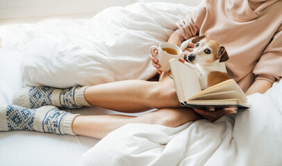 Reading and planning at home with pet in comfort white bed. Cozy home weekend with empty note book, cute small dog looking to cam and hot tea. Pink hoodie pajamas. Chilling mood. big warm wool socks. 