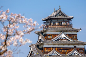 Hiroshima Castle During Cherry Blossom Season in Japan  day time
