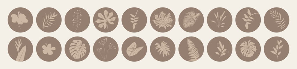 Vector abstract organic story highlight cover templates isolated on white background. Botanical illustration in neutral earth tone colors. Hipster design elements set