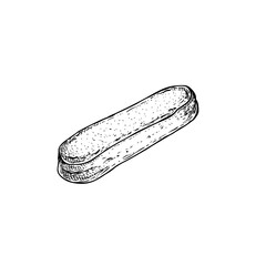 Savoiardi biscuit in sketch style. Hand drawn Italian dessert tiramisu ingredient. Traditional Italian sweet. Vector illustration isolated on white background.