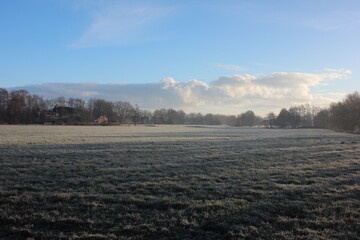 Bright sunlight illuminates a Dutch pasture landscape. Photo was taken on a cold winter morning.