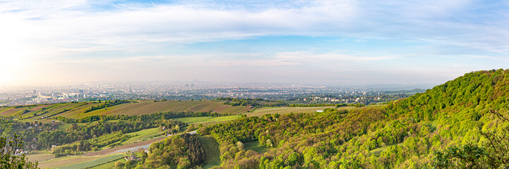 view to Vienna skyline, in early morning light