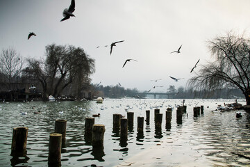 Beautiful winter day in the park , Parcul Tineretului in Bucharest