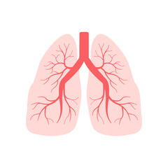 Human lungs. Internal organs of the human design element. Anatomy, medicine concept. Healthcare. Coronavirus. Vector illustration.