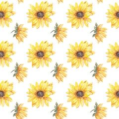 Watercolor sunflower seamless pattern. sunflower background