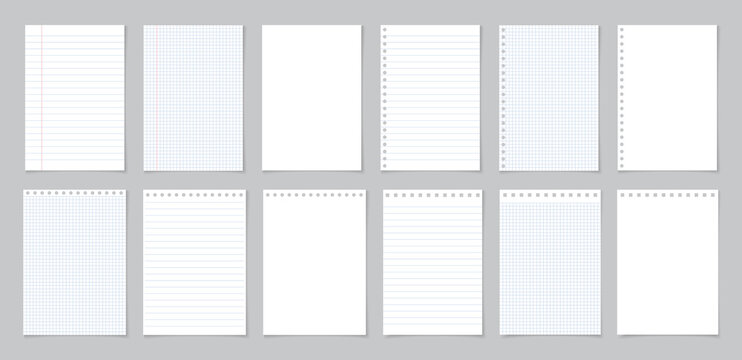 Paper with line and grid. Page of school notebook. White sheet for note. Notepad with texture. Template of notepaper isolated on gray background. Blank letter of diary for homework, write. Vector