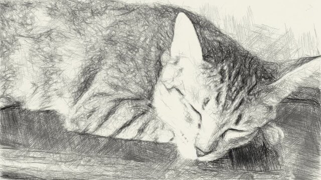 art drawing black and white of cute tabby dog