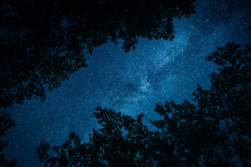 Fototapeta na wymiar Milky way looking through tree tops silhouettes