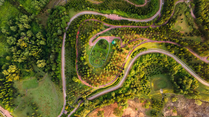 Aerial view of recreational joggin track in the forest
