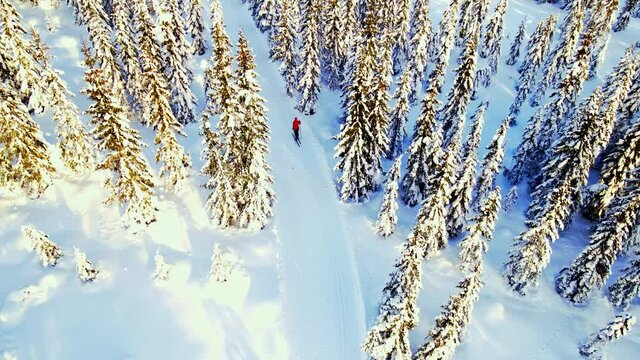 Person cross country skiing through a winter wonderland with snow capped forest and beautiful skiing trails on a sunny day. 4K Aerial.