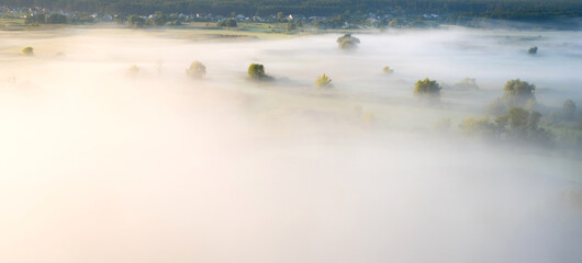 Morning field covered with thick mist