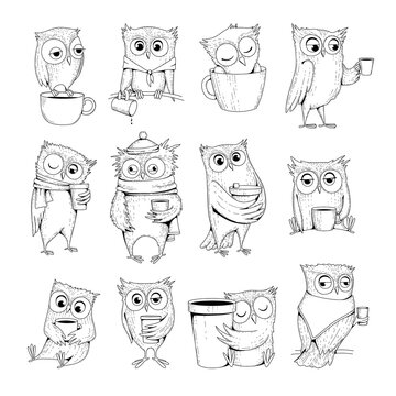 Owl characters. Funny wild night birds with cup of tea or coffee sleeping owls vector doodles. Illustration sleepy bird owl with coffee morning