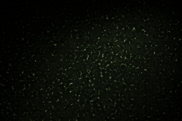 Polystyrene foam close-up. Bubbles Styrofoam texture background. Black background.