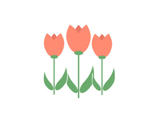 flat icon on white background tulip blooms . 8 March . Women's spring day.
