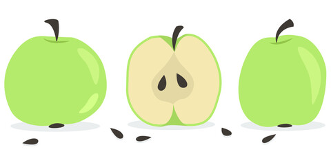 Vector apples set. Mini-collection isolated hand-drawing green apples, half apple and apple seeds. Apple illustration for packaging, cards, posters, banners. - 409874992