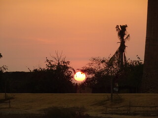The sunset at the avenue of the baobabs in Morondava　(Madagascar)