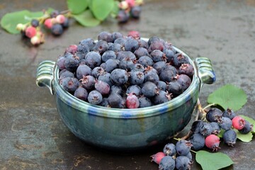 Berries of shadberry in a bowl on blue grey marble  background close-up.

