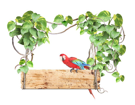 Old wooden board, Ara macao parrot, lianas and leaves of tropical plant