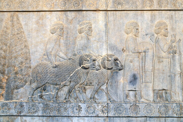 Bas-relief with assyrian warriors and foreign ambassadors, Persepolis, Iran