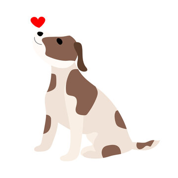 Jack Russell Terrier Cute dog with 
heart on the nose. Funny animal. Vector hand drawn illustration. Perfect for creating cards, posters, labels, T-shirts, banners, stickers  and veterinary blog