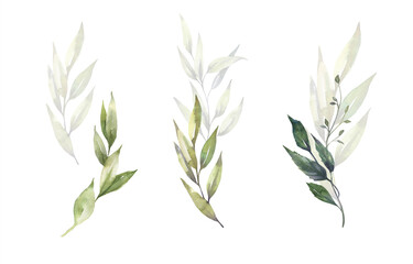 Watercolor floral illustration set - green leaf branches bouquets collection, for wedding stationary, greetings, wallpapers, fashion, background. Eucalyptus, olive, green leaves, etc. High quality