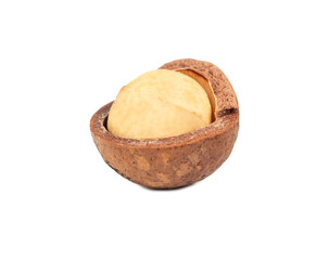 Open macadamia nut