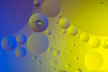 macro oil water photography Abstract background and texture of bubbles light multi color illumination.  art water surface for your products display and artwork design with copy space. Watery glare 