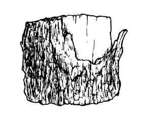 Sketch a stump in a hand-drawn tree in a realistic style. sawn tree side view bark black outline on white background isolated element for your design template
