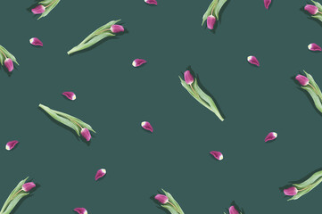 Creative layout pattern with  pink flowers and green leaves and  tulip flower petals on the pastel  green background. Nature flat lay. Minimal spring concept