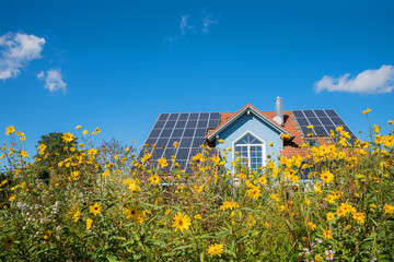 modern house with solar panels at the roof, yellow topinambur flowers, blue sky