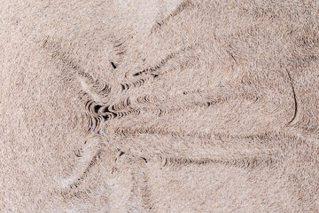 Fragment of roll end of undyed unbleached crepe paper closeup
