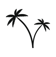 tropical palm trees on white background