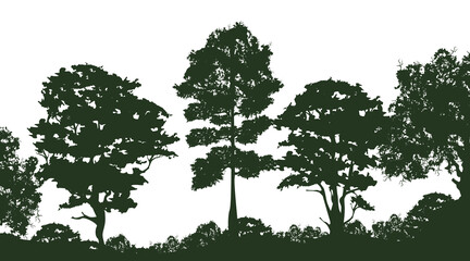 Silhouettes of landscape with trees on white background.