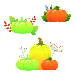 Cute pumpkins set isolated on white background. Green, yellow and orange pumpkins with leafs, plants and berries. Autumns vector illustrations.  