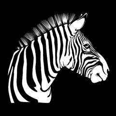 Fototapeta na wymiar Zebra head african mascot. Safari zebra vector illustration for use as print, poster, sticker, logo, tattoo, emblem and other.