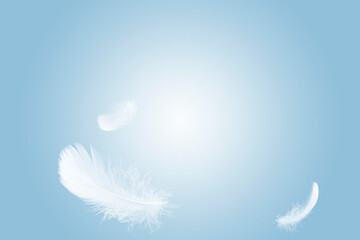 Light white feather floating in the sky.
