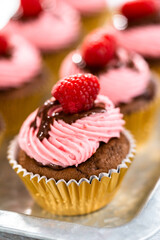 Chocolate raspberry cupcakes
