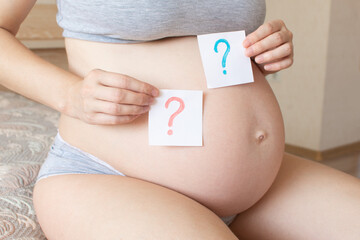 Gender party. Pregnant belly has a question mark boy and girl in hand. The choice of the gender of...
